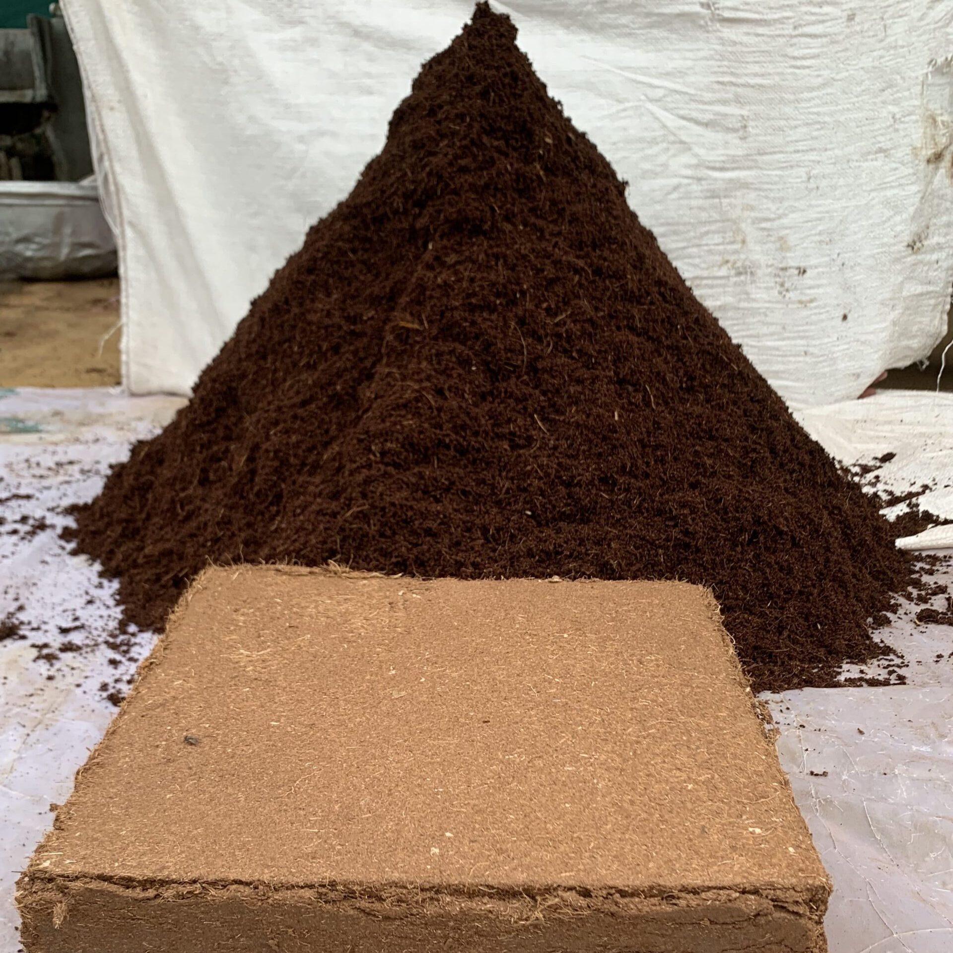 Fibra de coco